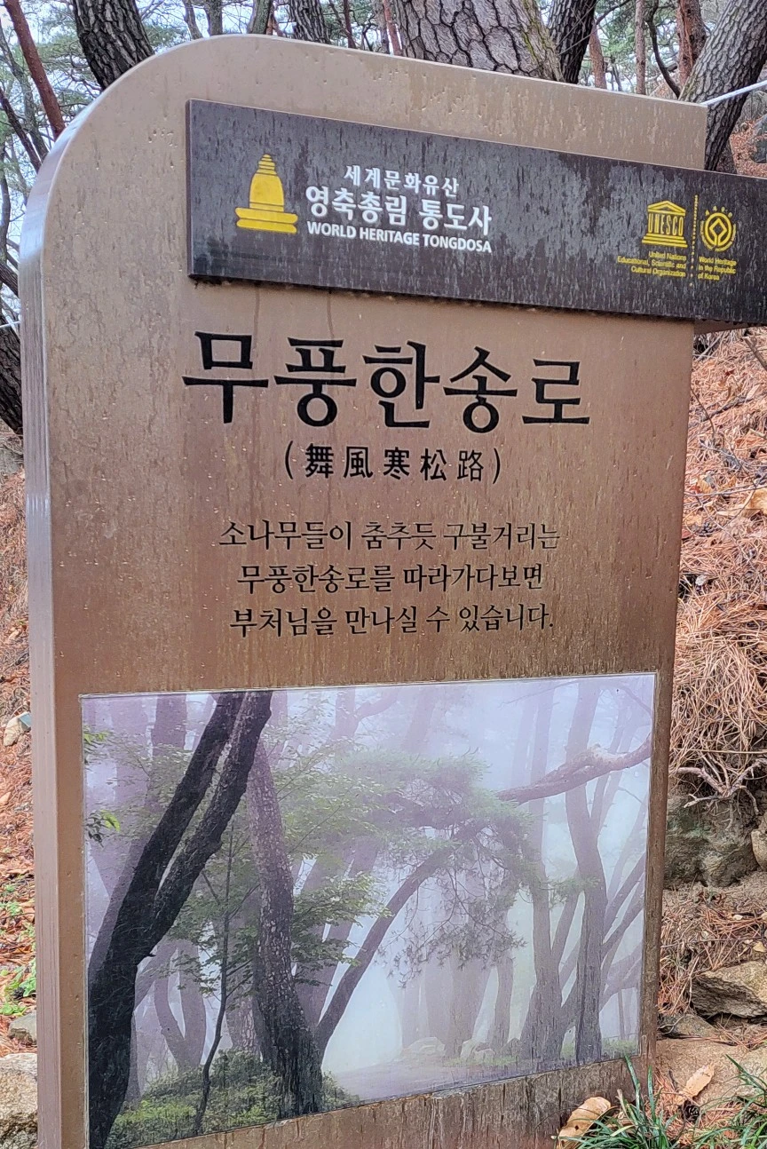 1742079149312.jpg?type=w966