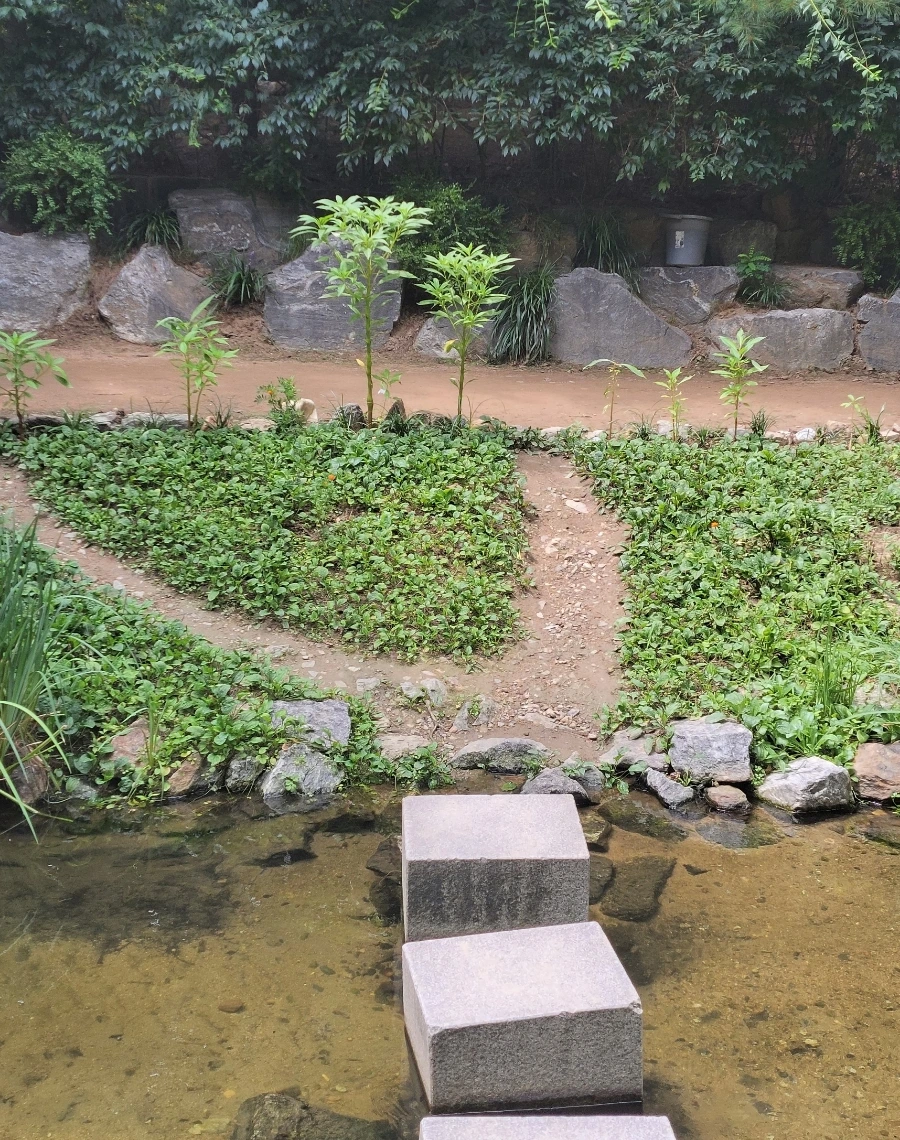 900%EF%BC%BF1755137205636.jpg?type=w966