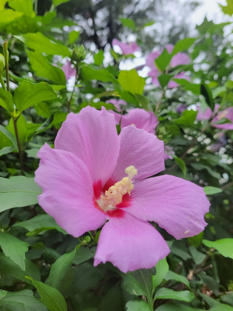 900%EF%BC%BF20250703%EF%BC%BF092453.jpg?type=w966