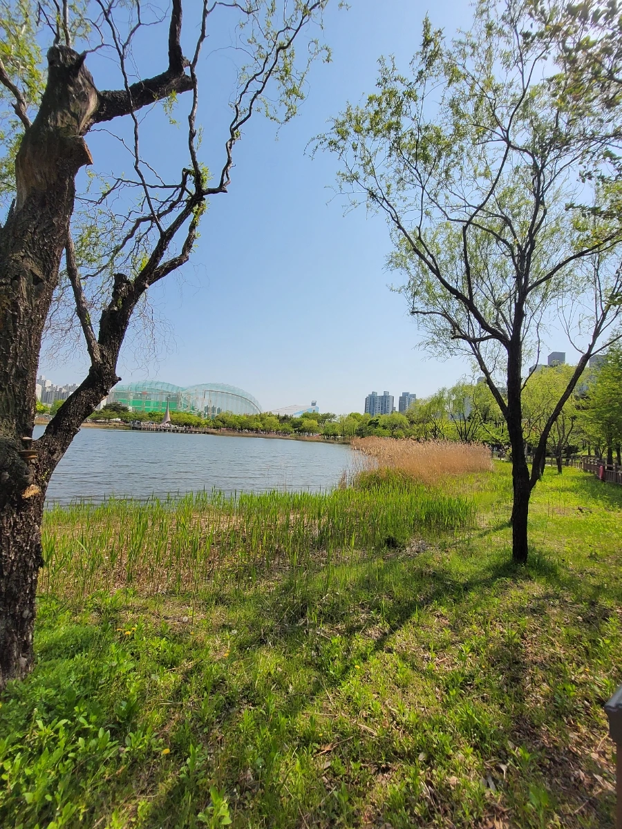 900%EF%BC%BF20250426%EF%BC%BF143231.jpg?type=w966