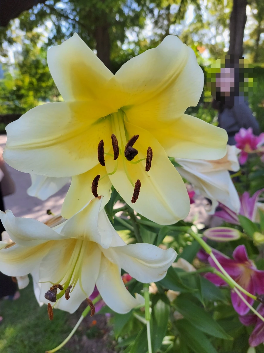 900%EF%BC%BF1752372605034.jpg?type=w966