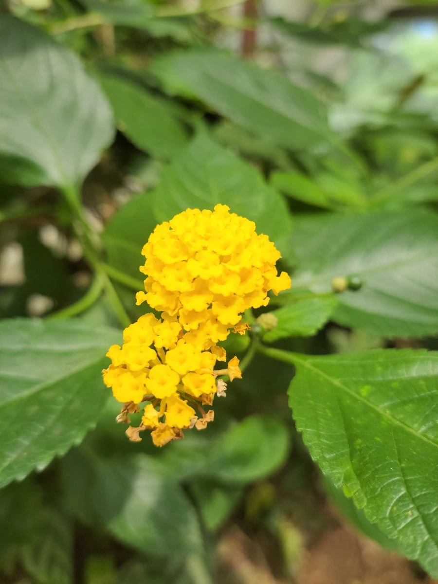 900%EF%BC%BF20250712%EF%BC%BF151114.jpg?type=w966