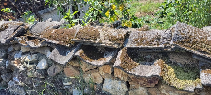 900%EF%BC%BF20240831%EF%BC%BF130051.jpg?type=w966