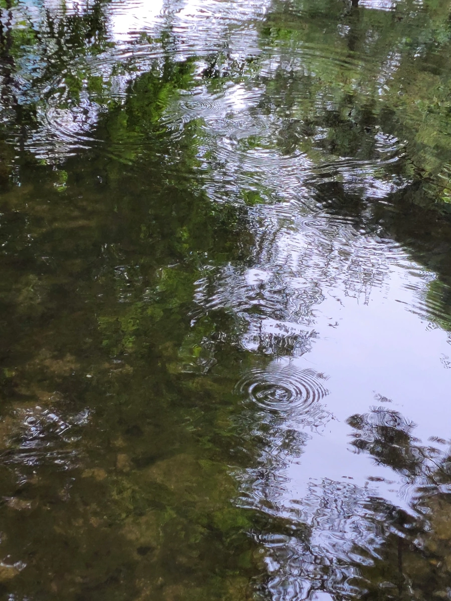 900%EF%BC%BF20250613%EF%BC%BF100356.jpg?type=w966