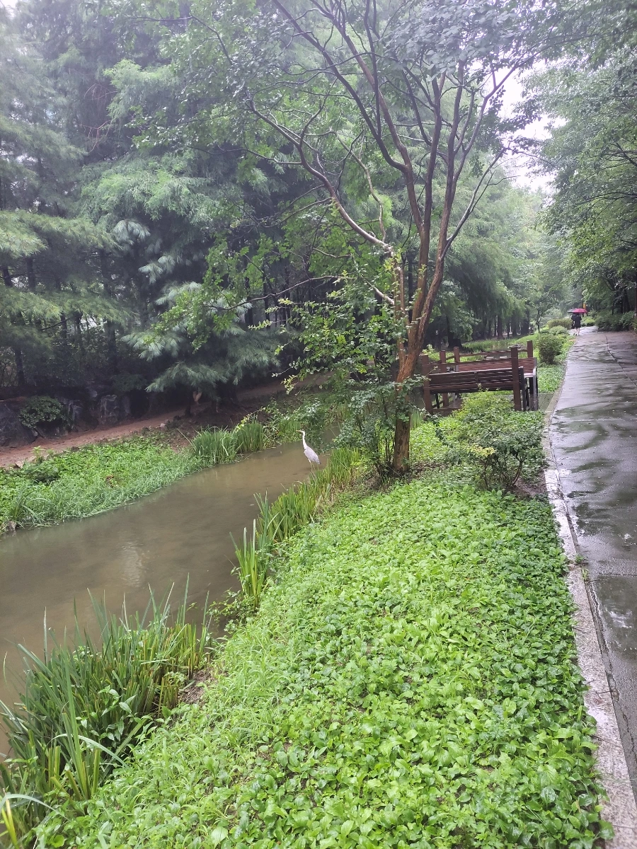 900%EF%BC%BF20250719%EF%BC%BF075026.jpg?type=w966