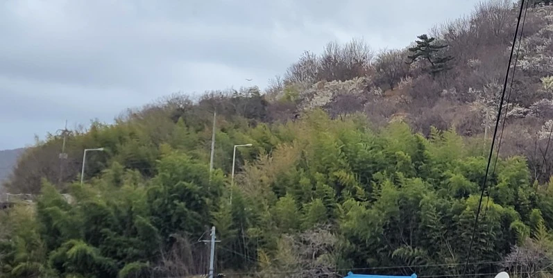 1742164877621.jpg?type=w966