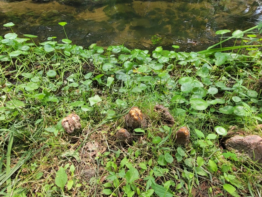 900%EF%BC%BF20250613%EF%BC%BF101854.jpg?type=w966