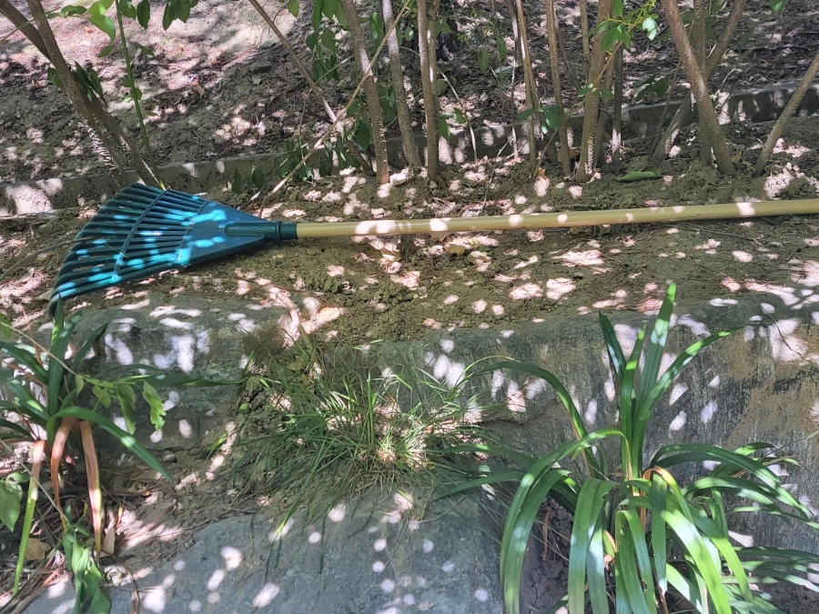 900%EF%BC%BF20250615%EF%BC%BF100406.jpg?type=w966