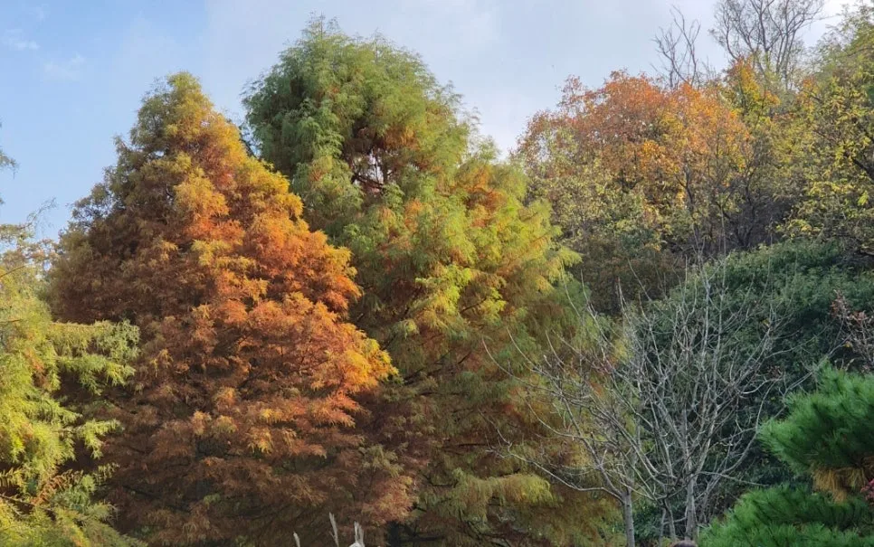 SE-8db17f4d-728b-4ad7-9d97-54b8223eafb2.jpg?type=w966