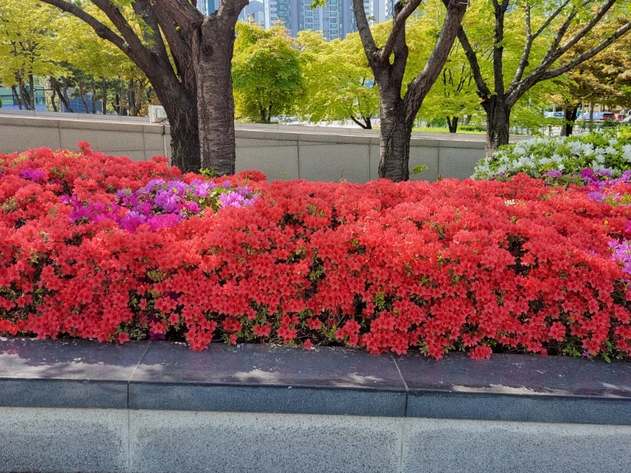 900%EF%BC%BF20250426%EF%BC%BF145720.jpg?type=w966