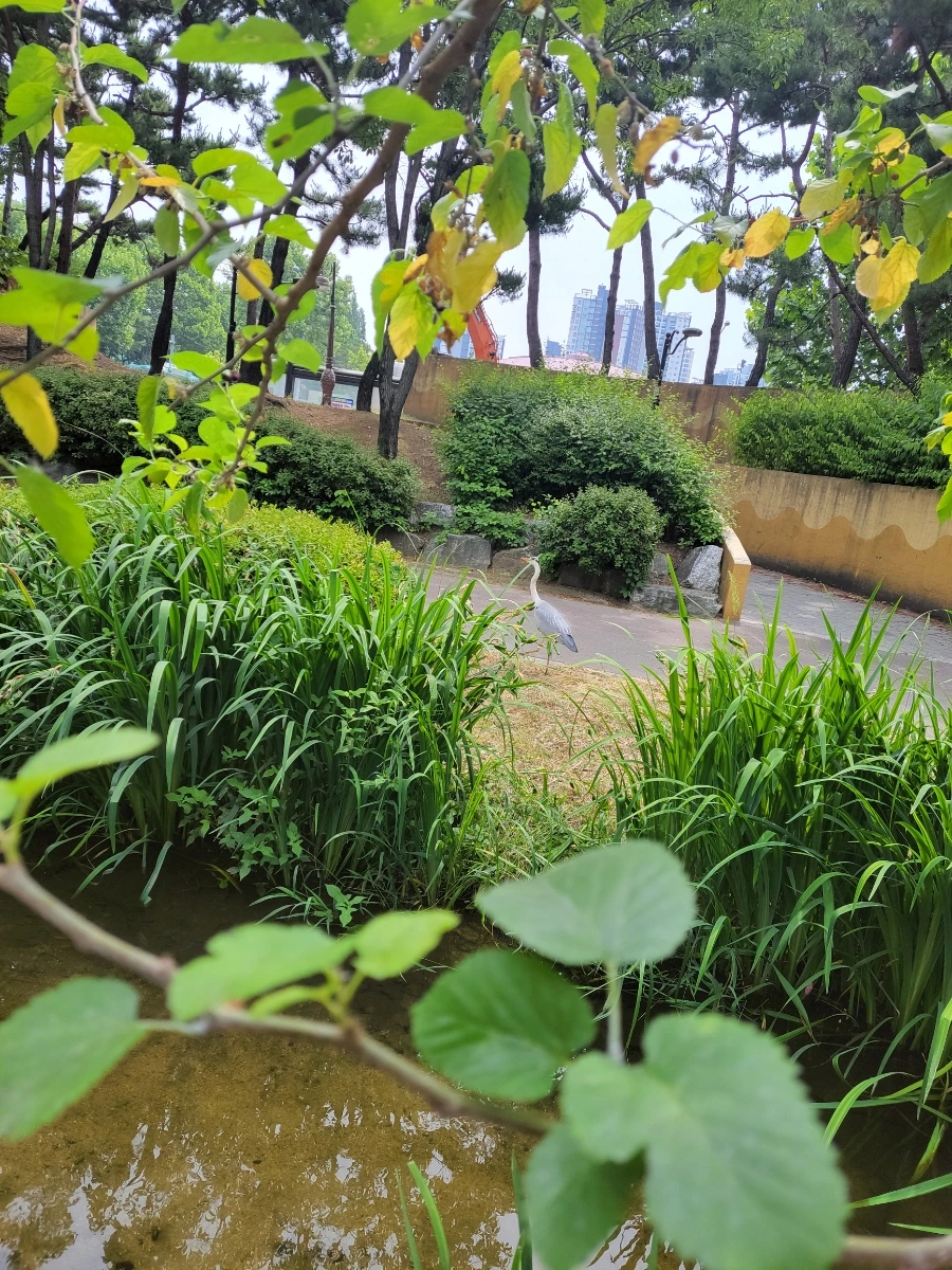 900%EF%BC%BF20250613%EF%BC%BF102544.jpg?type=w966