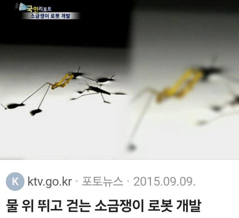 SE-1b17969a-751c-11f0-9e3a-85feb89506bf.jpg?type=w966