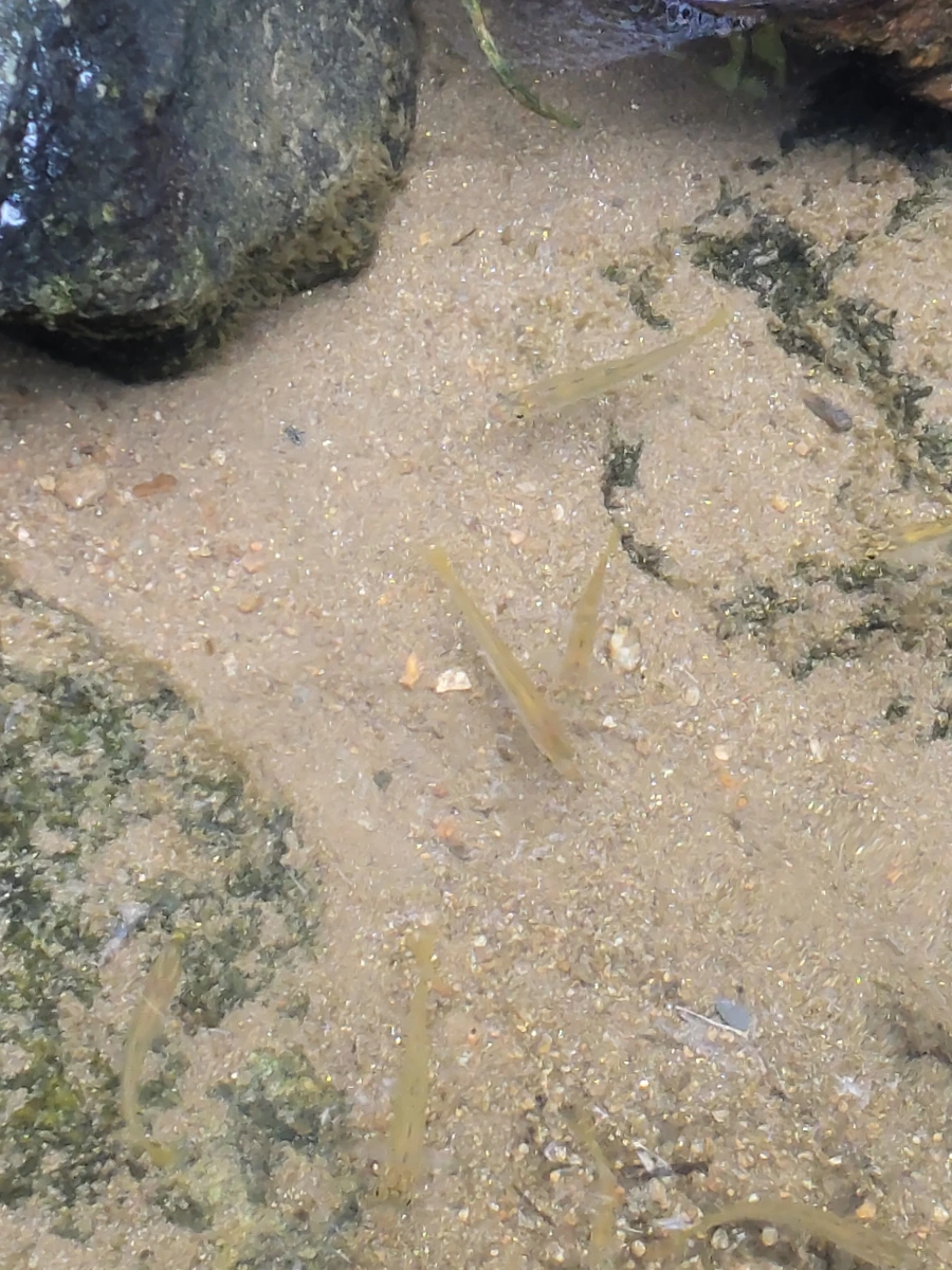 900%EF%BC%BF20250722%EF%BC%BF090056.jpg?type=w966