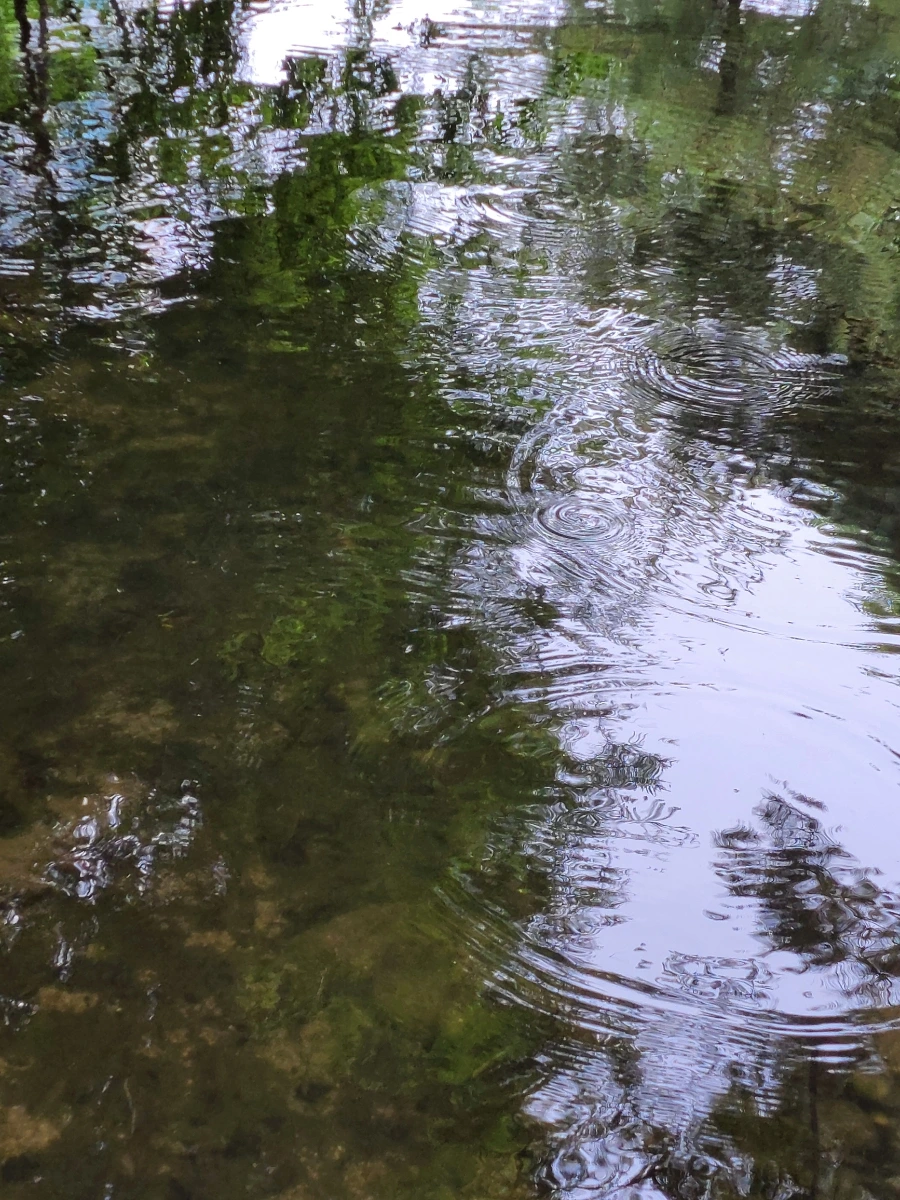 900%EF%BC%BF20250613%EF%BC%BF100401.jpg?type=w966