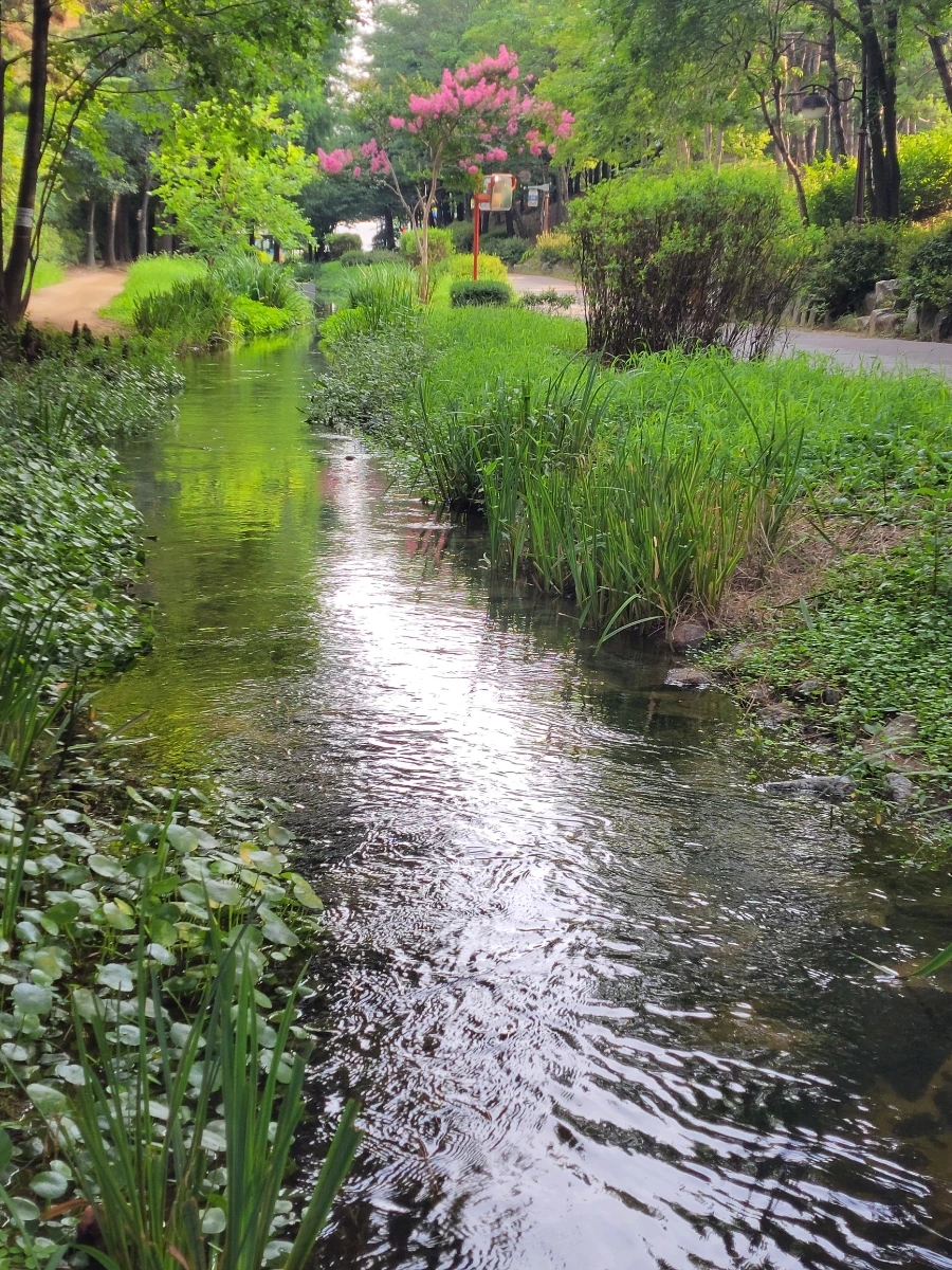 900%EF%BC%BF20250801%EF%BC%BF074858.jpg?type=w966