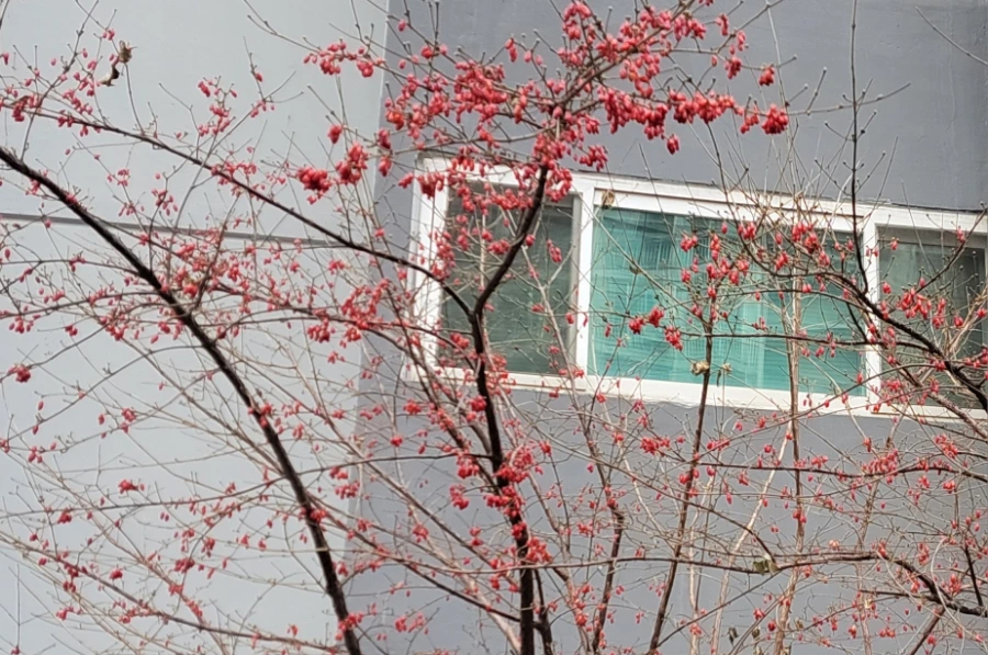 900%EF%BC%BF20241225%EF%BC%BF111336.jpg?type=w3840