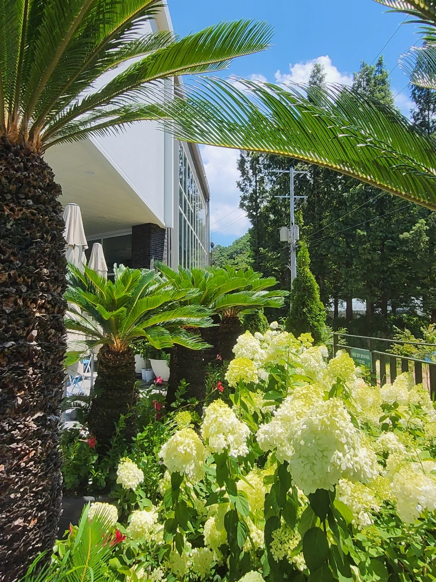 900%EF%BC%BF20250727%EF%BC%BF131448.jpg?type=w966