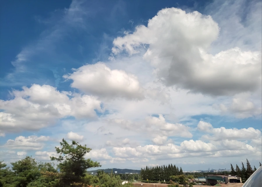 900%EF%BC%BF20250720%EF%BC%BF152730.jpg?type=w966