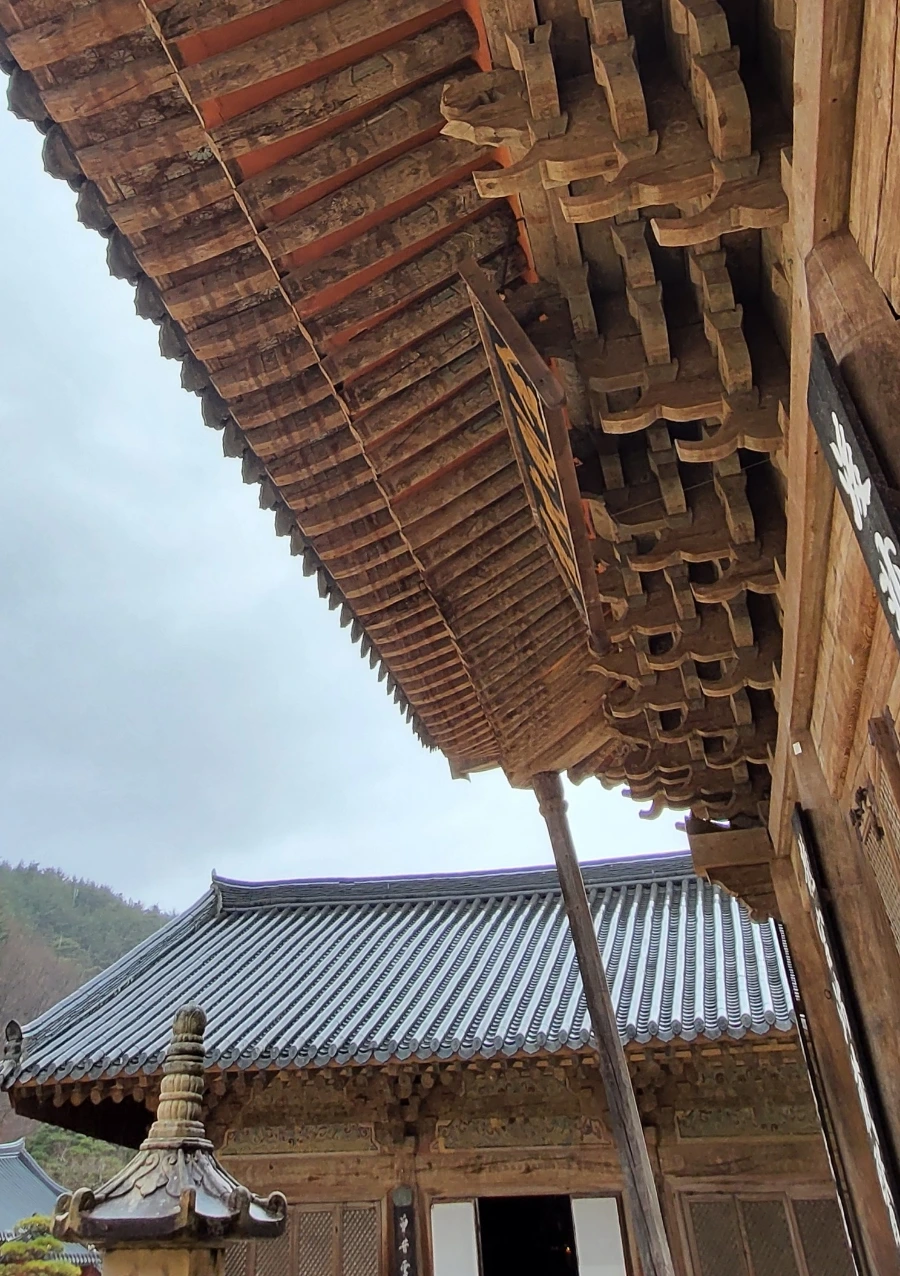 900%EF%BC%BF1742079788510.jpg?type=w966