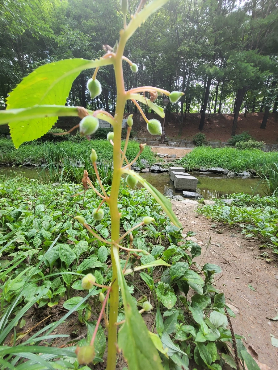 900%EF%BC%BF20250808%EF%BC%BF095121.jpg?type=w966