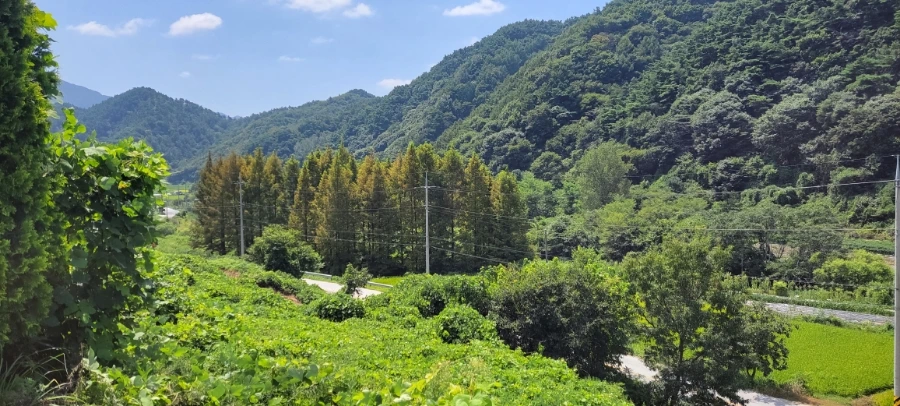 900%EF%BC%BF20240831%EF%BC%BF121707.jpg?type=w966