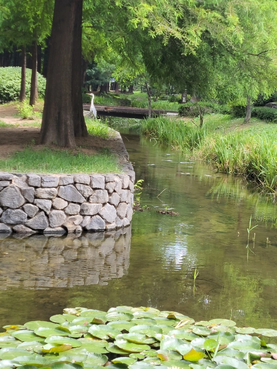 900%EF%BC%BF20250713%EF%BC%BF090754.jpg?type=w966