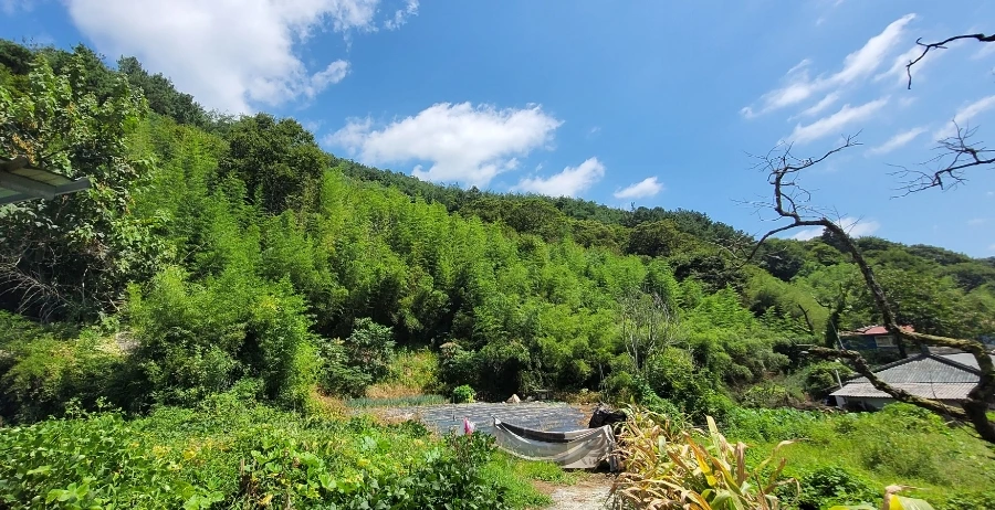 900%EF%BC%BF1744851339690.jpg?type=w966