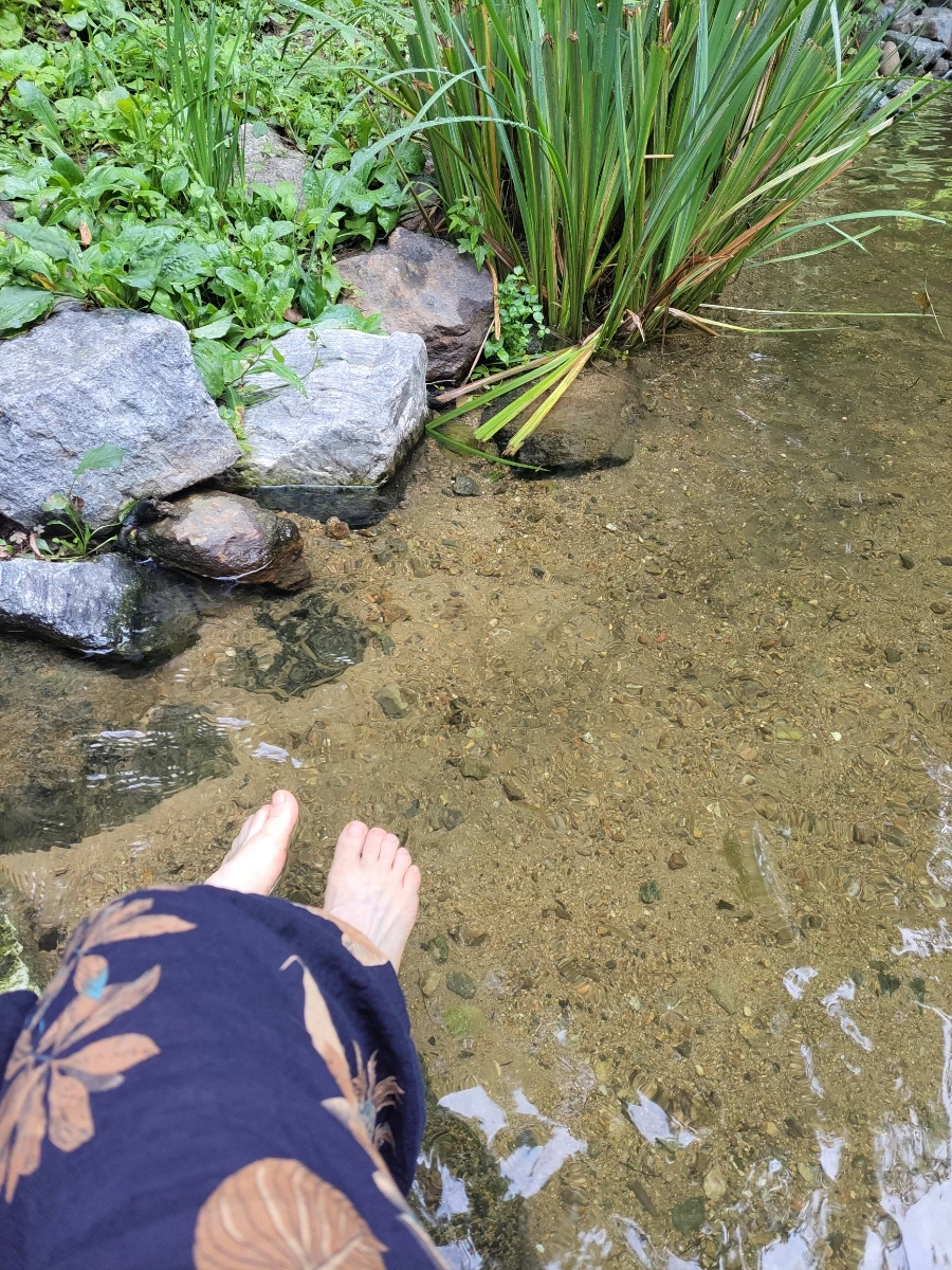 900%EF%BC%BF20250804%EF%BC%BF092021.jpg?type=w966