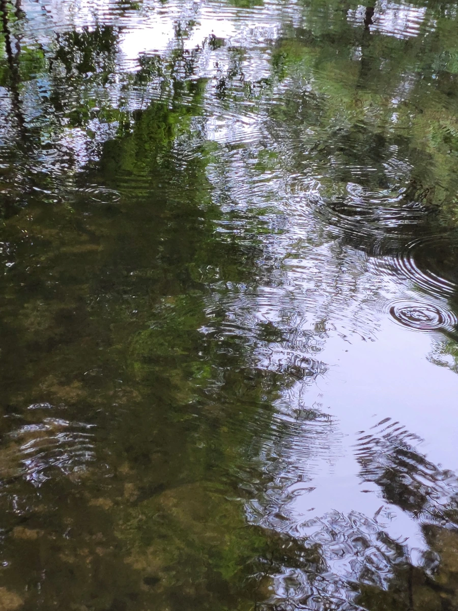 900%EF%BC%BF20250613%EF%BC%BF100358.jpg?type=w966