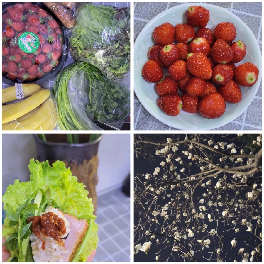 900%EF%BC%BFGridArt%EF%BC%BF20250329%EF%BC%BF044404637.jpg?type=w1