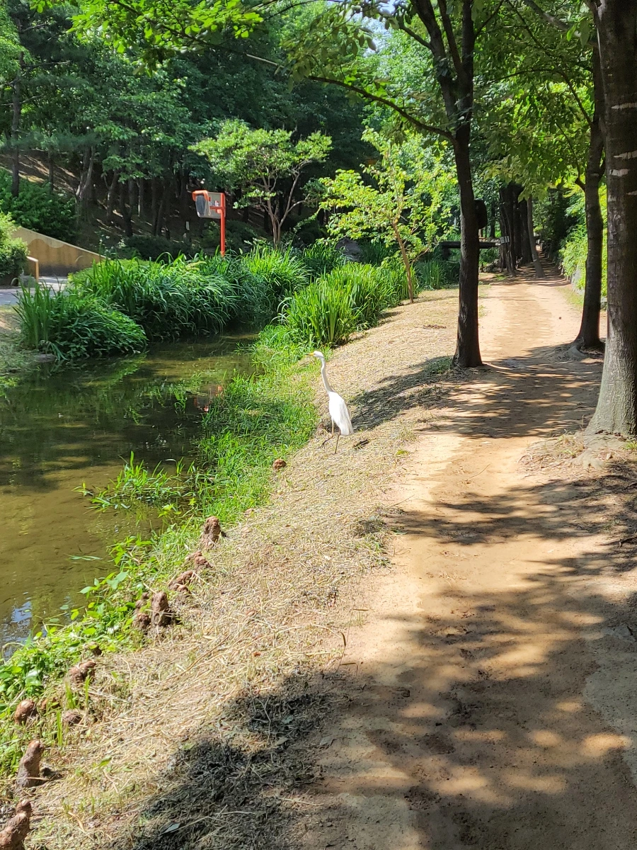 900%EF%BC%BF20250615%EF%BC%BF095716.jpg?type=w966