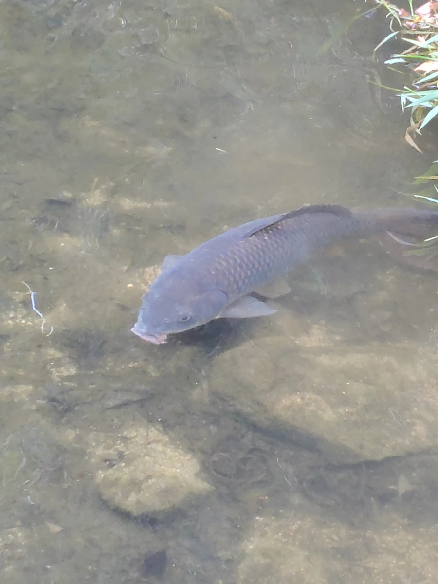 900%EF%BC%BF20250613%EF%BC%BF100136.jpg?type=w966