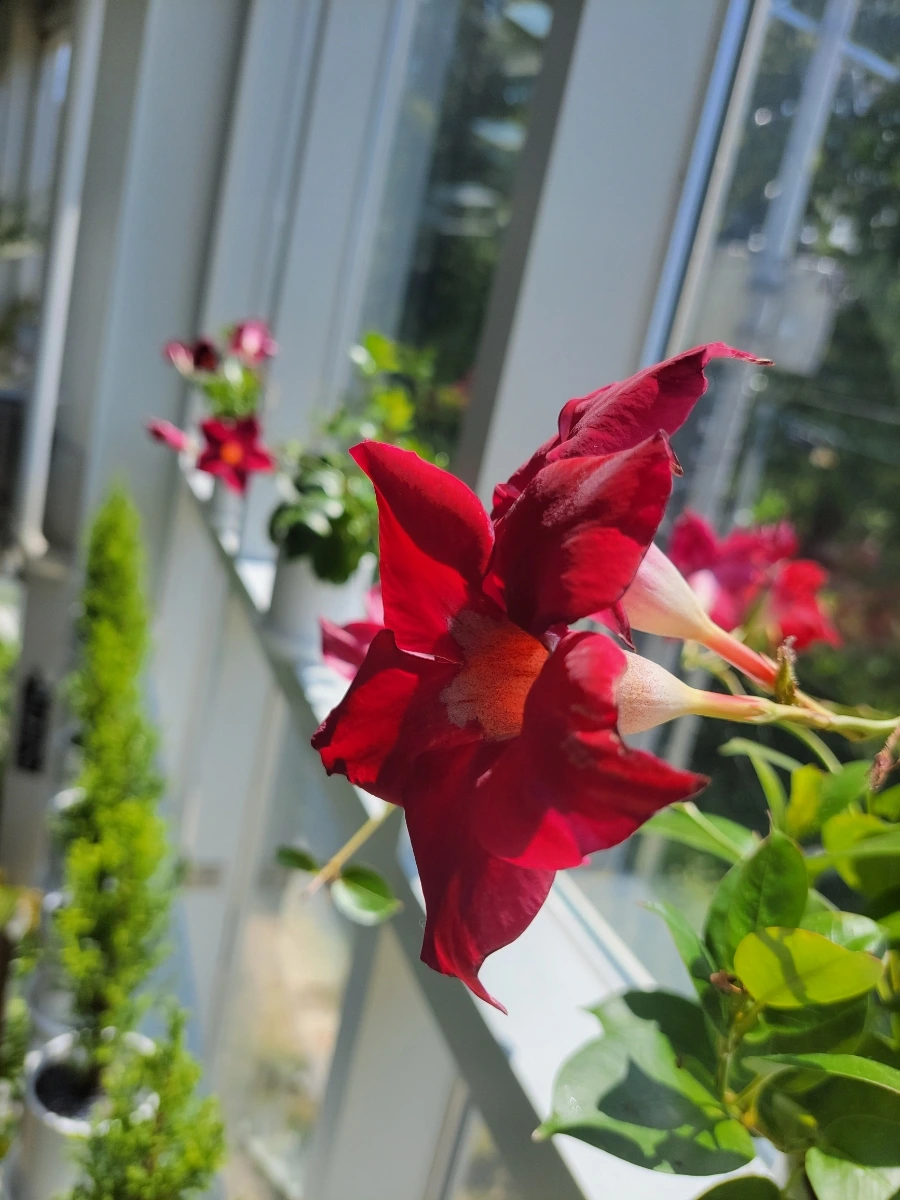 900%EF%BC%BF20250727%EF%BC%BF132626.jpg?type=w966