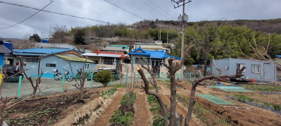 900%EF%BC%BF20250315%EF%BC%BF160911.jpg?type=w966