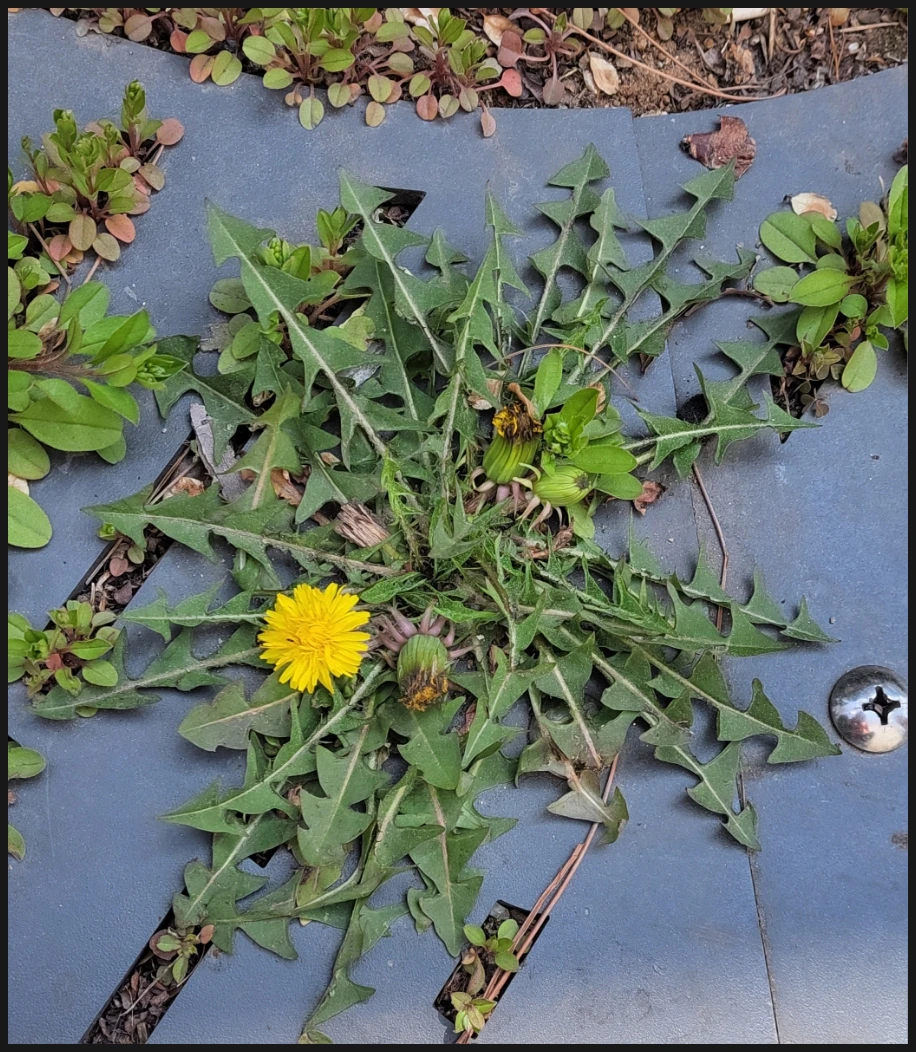 SE-221543e8-167c-11f0-b0b7-2bb468279e40.jpg?type=w966