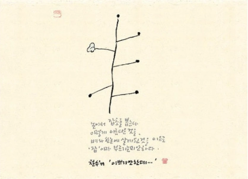 SE-d82e0b81-167b-11f0-b0b7-c12639d12f7b.jpg?type=w966