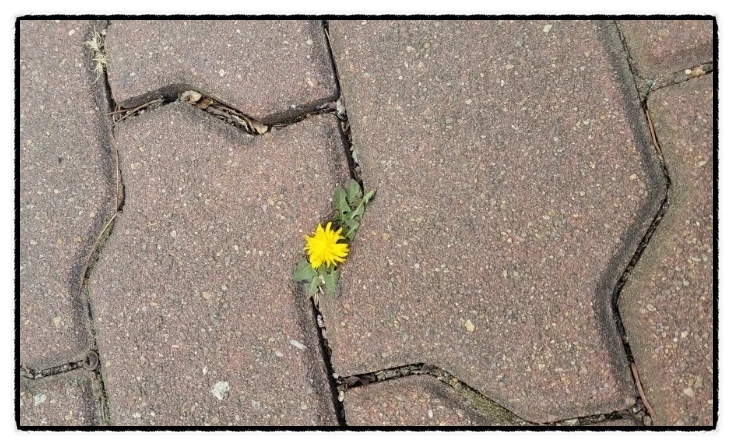 SE-21fed5b6-167c-11f0-b0b7-b3567643b6b9.jpg?type=w966