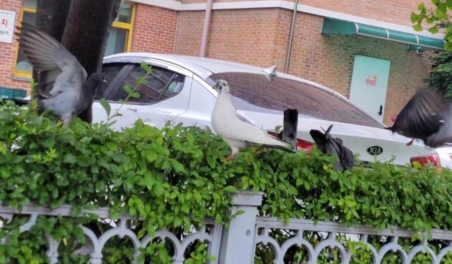 900%EF%BC%BF1752795600850.jpg?type=w966