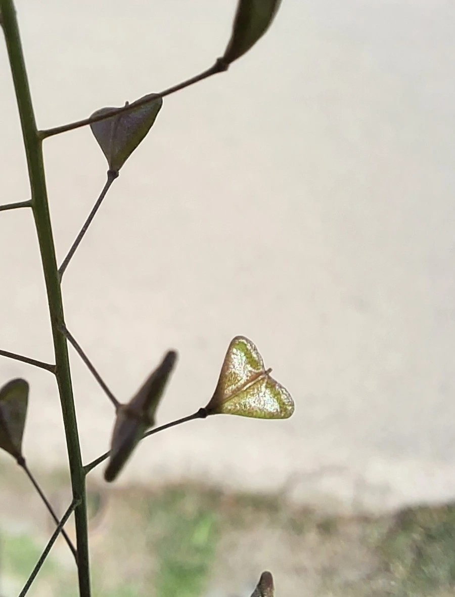 900%EF%BC%BF20250426%EF%BC%BF144205.jpg?type=w966