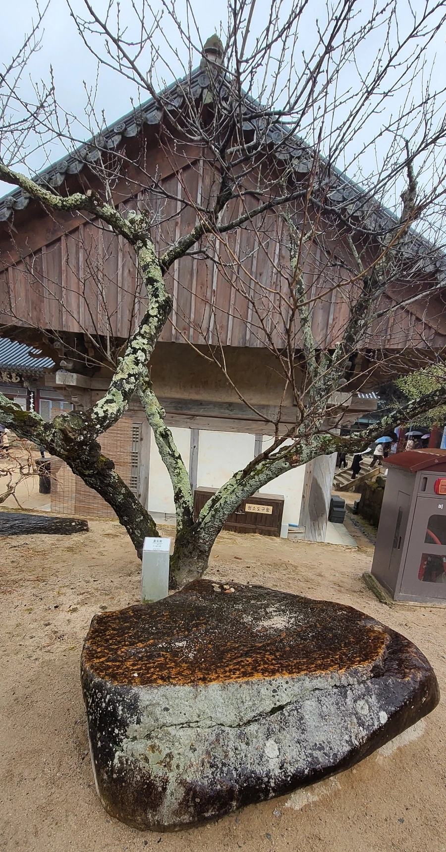 900%EF%BC%BF1742079391603.jpg?type=w966