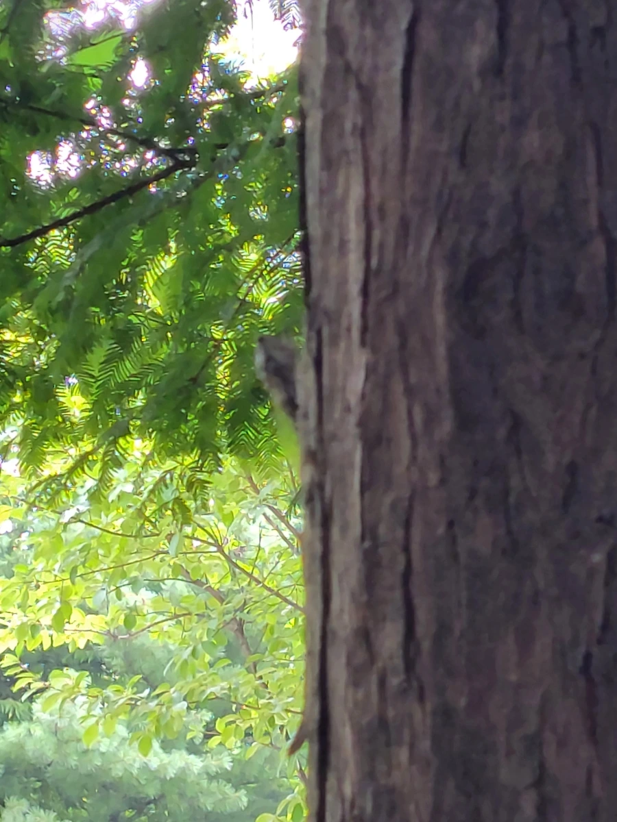 900%EF%BC%BF20250730%EF%BC%BF111305.jpg?type=w966