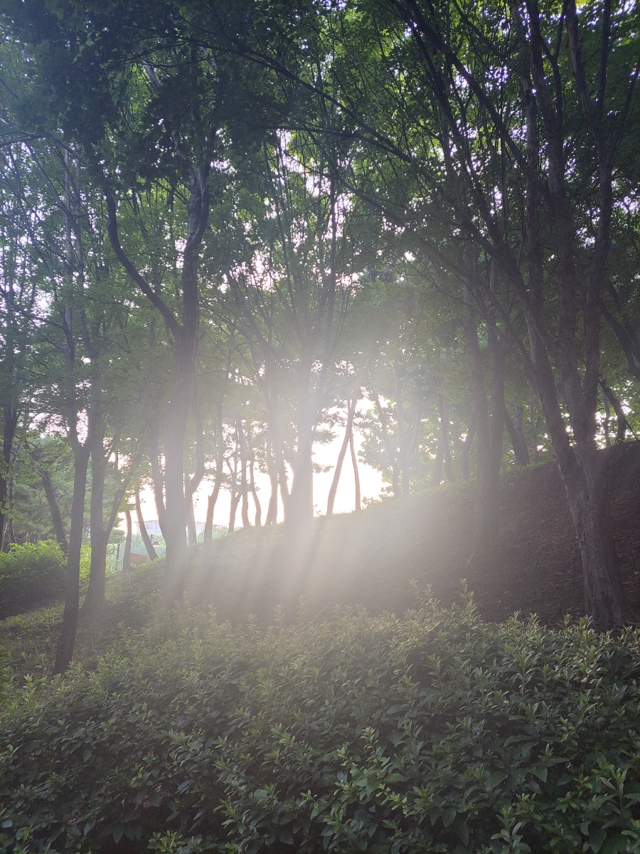 900%EF%BC%BF20250725%EF%BC%BF055936.jpg?type=w966