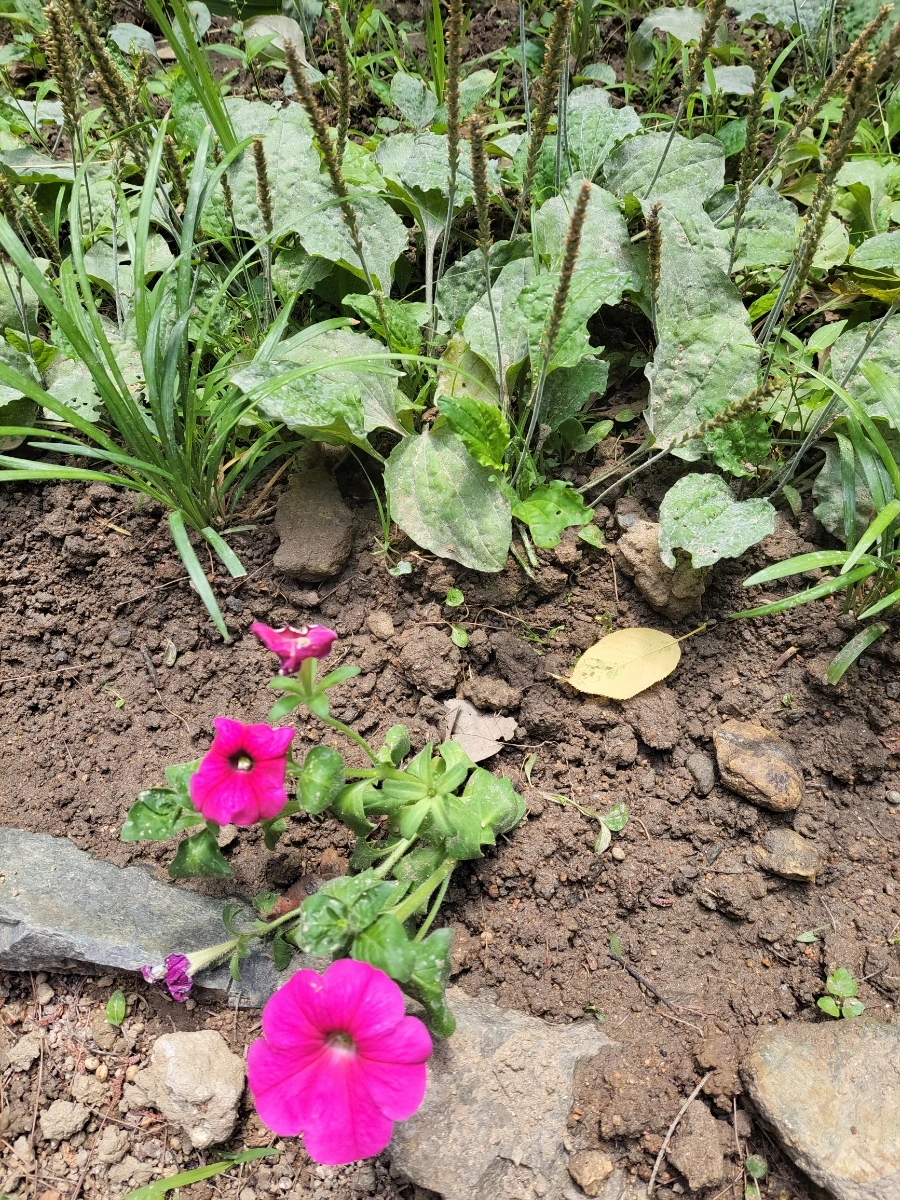 900%EF%BC%BF20250615%EF%BC%BF094435.jpg?type=w966