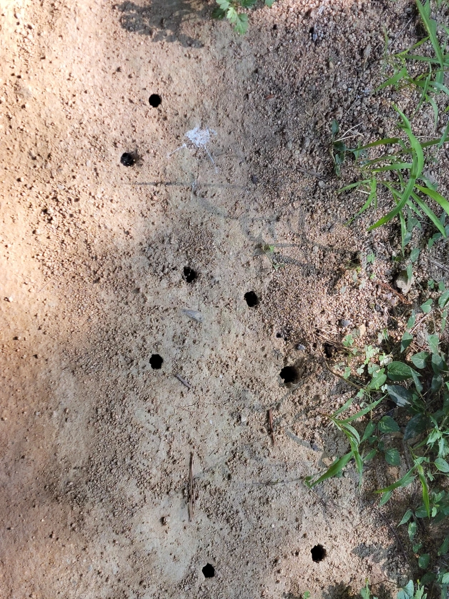 900%EF%BC%BF20250805%EF%BC%BF083524.jpg?type=w966