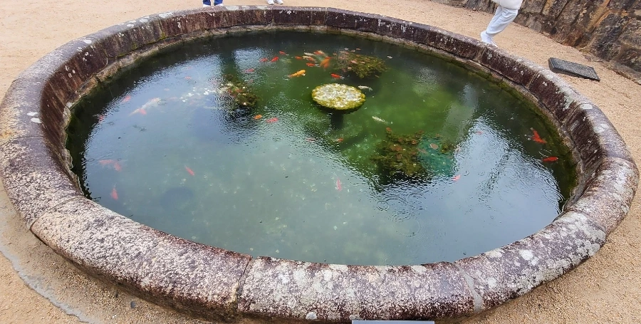 900%EF%BC%BF1742079368325.jpg?type=w966