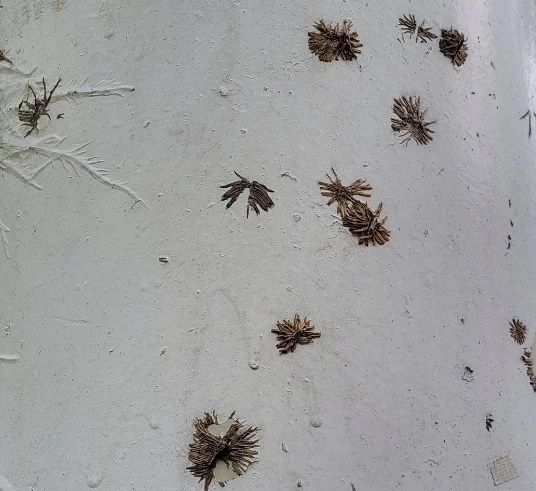 SE-60370739-5222-11f0-a71e-09e2af7cf7b6.jpg?type=w966