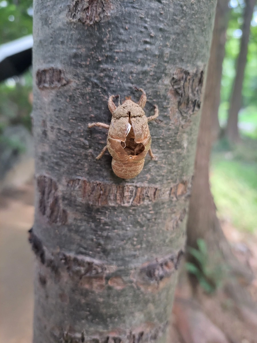 900%EF%BC%BF20250808%EF%BC%BF094917.jpg?type=w966