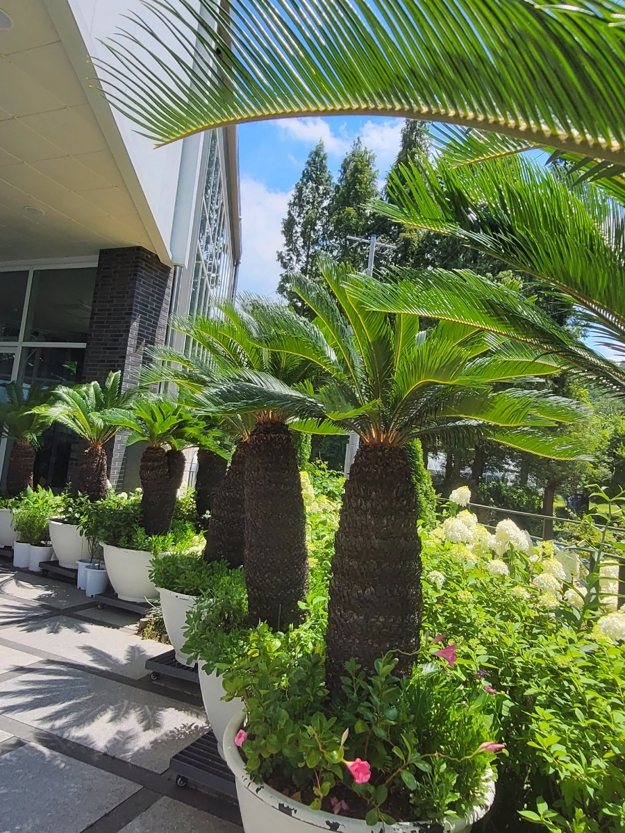 900%EF%BC%BF20250727%EF%BC%BF131509.jpg?type=w966