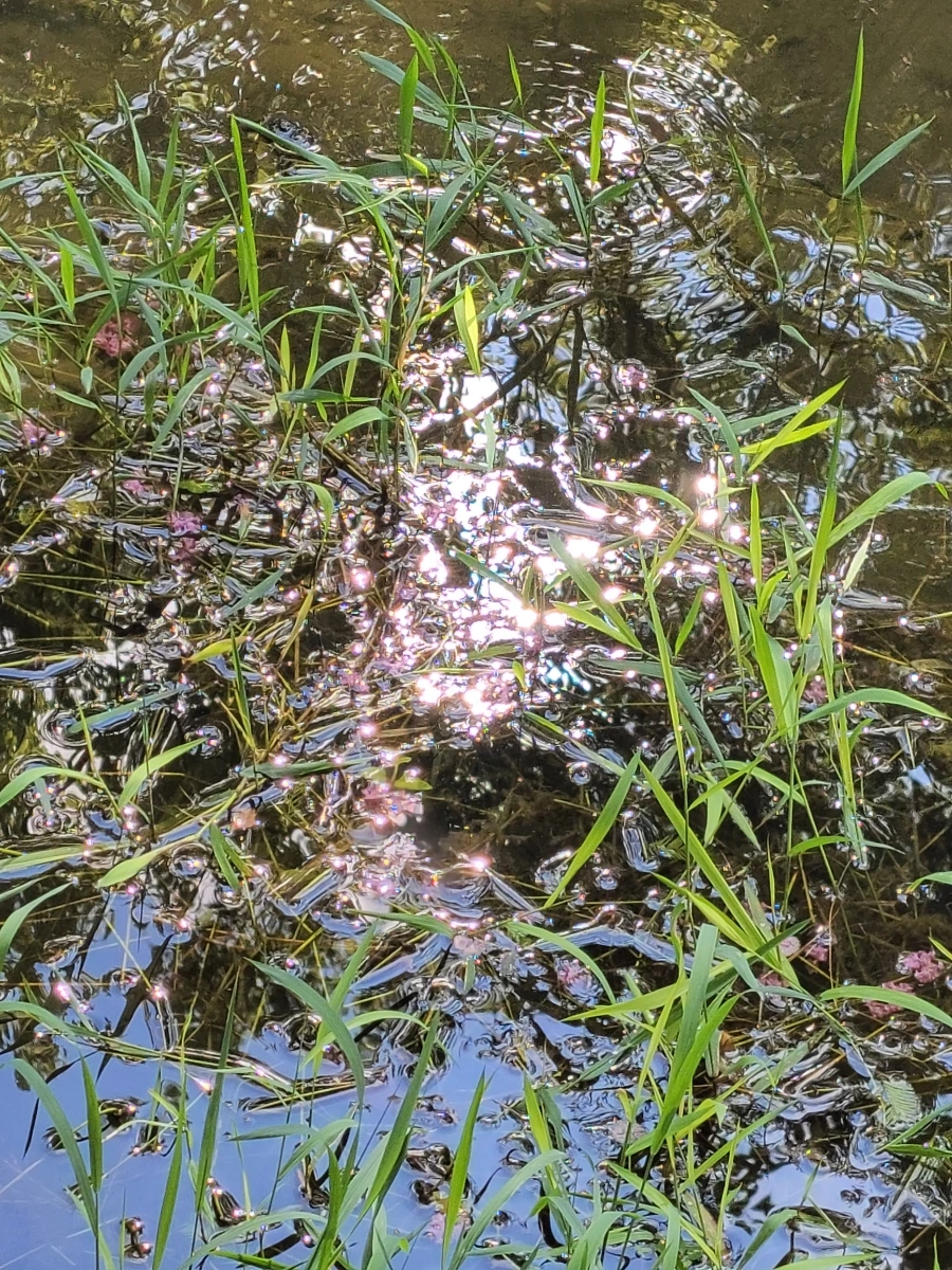 900%EF%BC%BF20250804%EF%BC%BF091316.jpg?type=w966