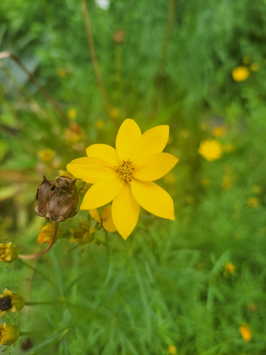 900%EF%BC%BF20250714%EF%BC%BF094503.jpg?type=w966